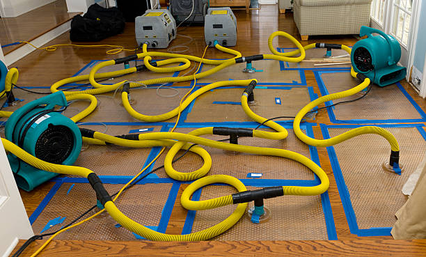 Professional Crawl Space Water Removal technician working in Green Isle, MN